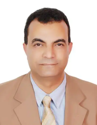Amir Mohamed Kamel